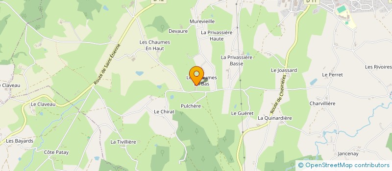 localisation de l'entreprise MADAME CHRISTIANE PROTIERE à CHAZELLES SUR LYON