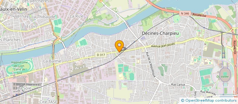localisation de l'entreprise MADAME CHRISTIANE RIEU  DECINES-CHARPIEU
