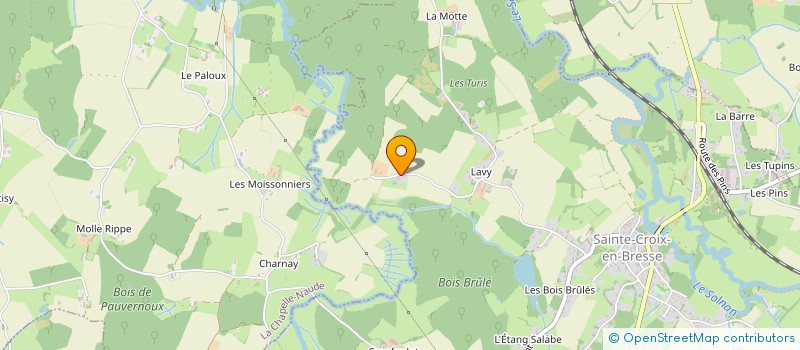 localisation de l'entreprise MADAME CHRISTINA BRUDER  SAINTE-CROIX-EN-BRESSE