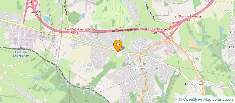 localisation de l'entreprise MADAME CHRISTINA SCHMIDT  LA TOUR-DE-SALVAGNY