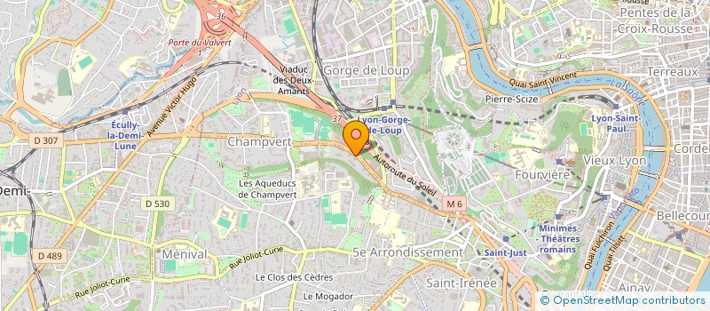 localisation de l'entreprise MADAME CHRISTINE BILLON-LANFRAY à LYON