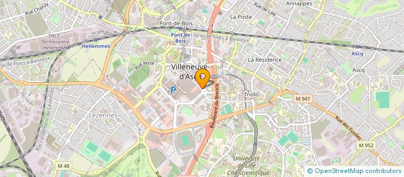 localisation de l'entreprise MADAME CHRISTINE BOERSMA  VILLENEUVE-D'ASCQ