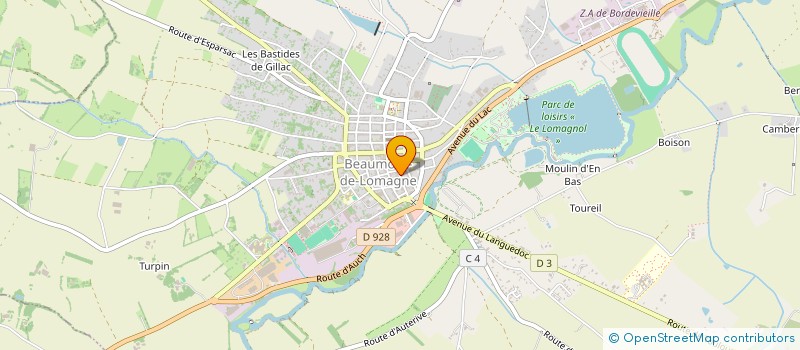 localisation de l'entreprise MADAME CHRISTINE BOLOGNESI  BEAUMONT-DE-LOMAGNE