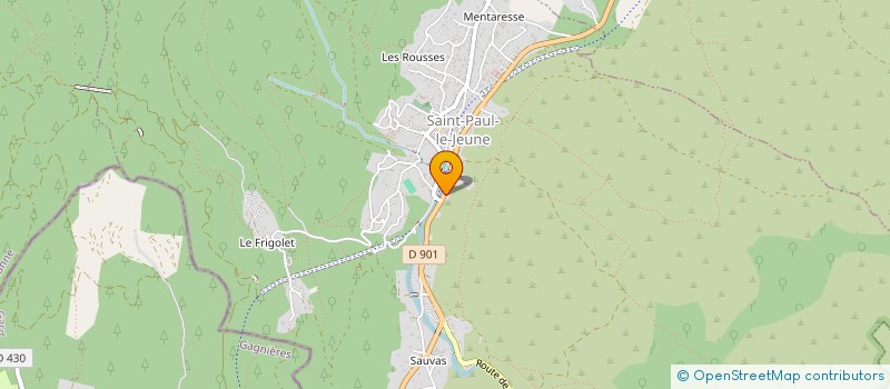 localisation de l'entreprise MADAME CHRISTINE BORNE  SAINT-PAUL-LE-JEUNE