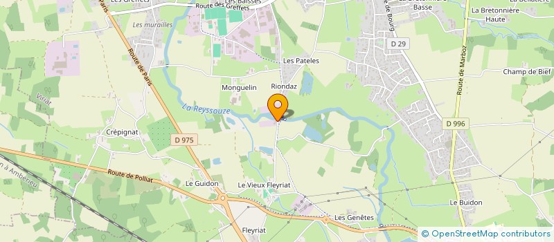 localisation de l'entreprise MADAME CHRISTINE BOURGEOIS à VIRIAT