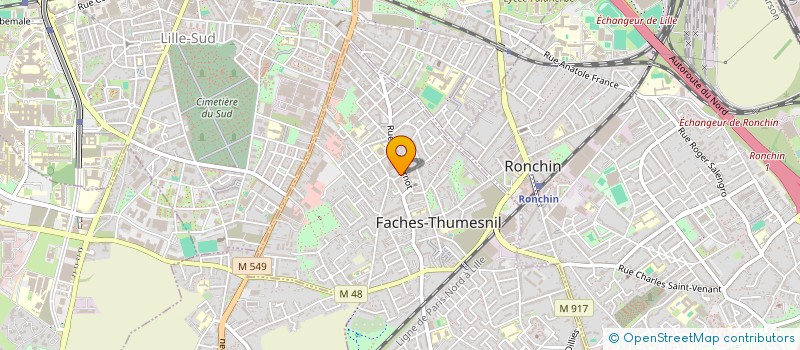 localisation de l'entreprise MADAME CHRISTINE BUISSET  FACHES-THUMESNIL