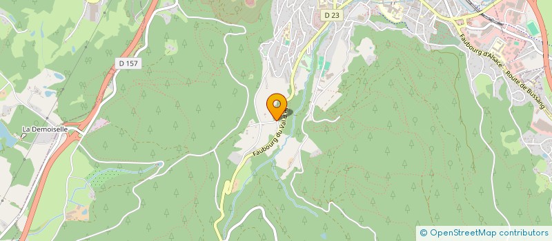 localisation de l'entreprise MADAME CHRISTINE CHAPPART  REMIREMONT