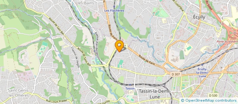 localisation de l'entreprise MADAME CHRISTINE DE PUYBAUDET à TASSIN-LA-DEMI-LUNE