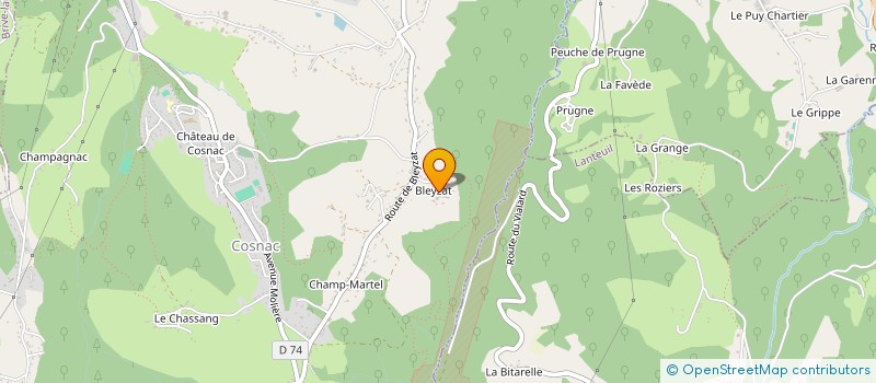 localisation de l'entreprise MADAME CHRISTINE DELBARY  COSNAC