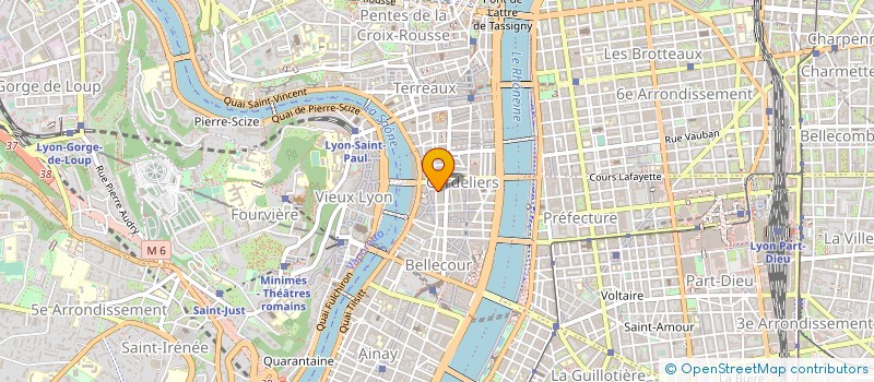 localisation de l'entreprise MADAME CHRISTINE DRIOT  LYON