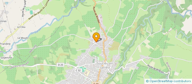 localisation de l'entreprise MADAME CHRISTINE DURIEUX à SOUCIEU-EN-JARREST