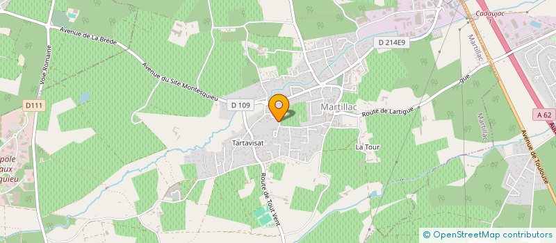 localisation de l'entreprise MADAME CHRISTINE ELIE  MARTILLAC