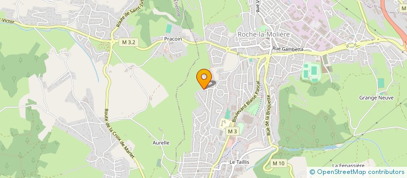 localisation de l'entreprise MADAME CHRISTINE FAURE  ROCHE-LA-MOLIERE