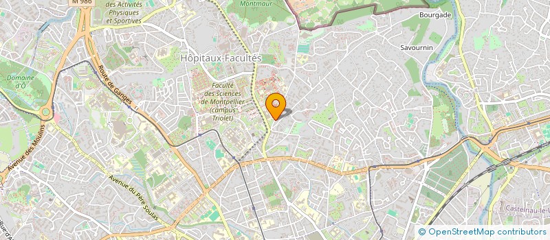localisation de l'entreprise MADAME CHRISTINE FOUREAU à MONTPELLIER