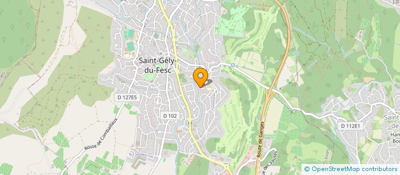 localisation de l'entreprise MADAME CHRISTINE FRANCOIS  SAINT-GELY-DU-FESC