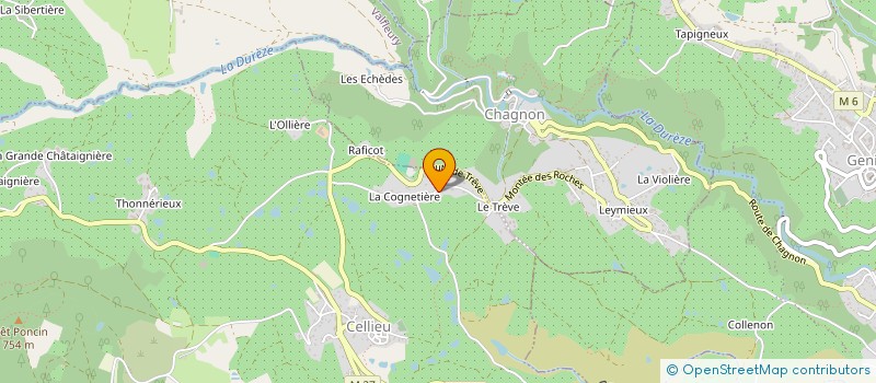 localisation de l'entreprise MADAME CHRISTINE GAUTHERIN  CELLIEU