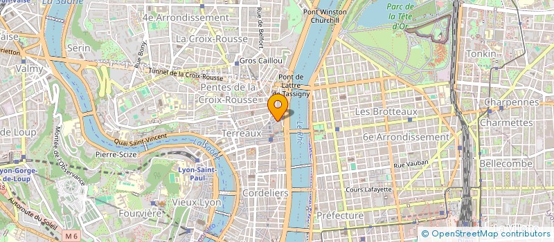 localisation de l'entreprise MADAME CHRISTINE GEHIN à LYON