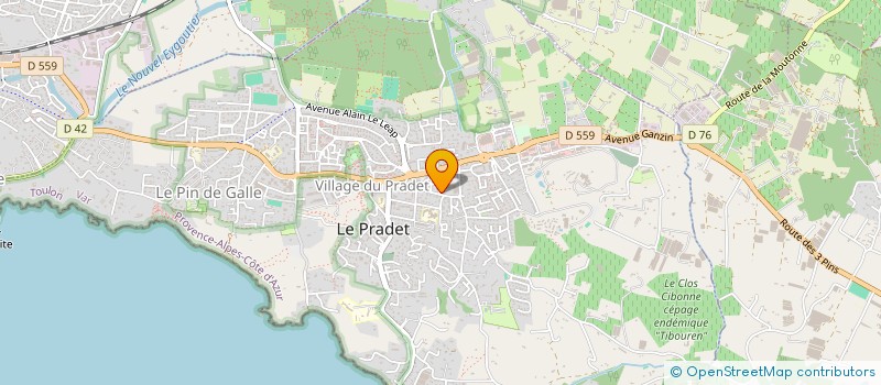 localisation de l'entreprise MADAME CHRISTINE GRUMAN  LE PRADET