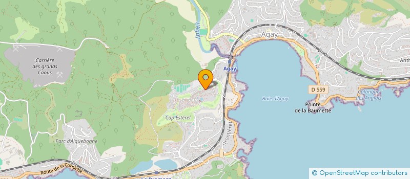 localisation de l'entreprise MADAME CHRISTINE HAMANN  SAINT-RAPHAEL