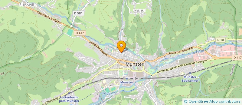 localisation de l'entreprise MADAME CHRISTINE HIERHOLTZER  MUNSTER