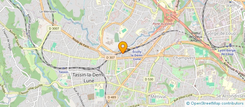 localisation de l'entreprise MADAME CHRISTINE HINGOUET  TASSIN-LA-DEMI-LUNE