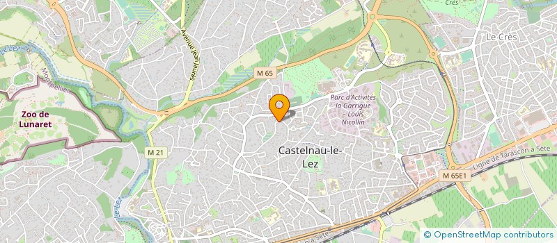 localisation de l'entreprise MADAME CHRISTINE JEANNIN à CASTELNAU-LE-LEZ