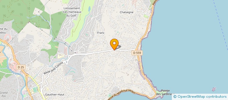 localisation de l'entreprise MADAME CHRISTINE LASSALLE à SAINTE-MAXIME
