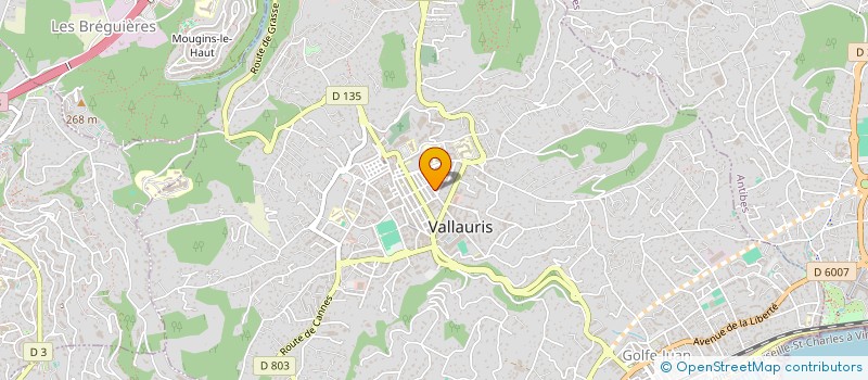 localisation de l'entreprise MADAME CHRISTINE MARTY à VALLAURIS