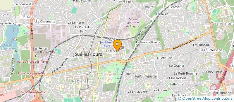 localisation de l'entreprise MADAME CHRISTINE MENAT  JOUE-LES-TOURS