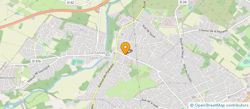 localisation de l'entreprise MADAME CHRISTINE MENDY  LA SALVETAT-SAINT-GILLES