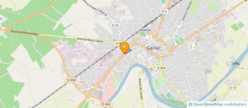 localisation de l'entreprise MADAME CHRISTINE MICHIELS à GAILLAC
