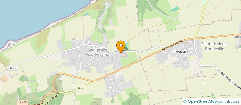 localisation de l'entreprise MADAME CHRISTINE PATOU  SENNEVILLE-SUR-FECAMP