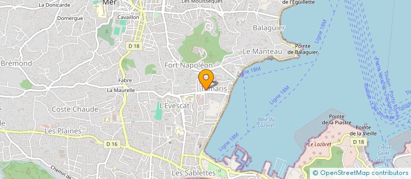 localisation de l'entreprise MADAME CHRISTINE PEAKE  LA SEYNE-SUR-MER