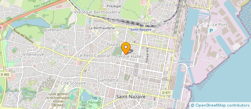 localisation de l'entreprise MADAME CHRISTINE RAMOND  SAINT-NAZAIRE