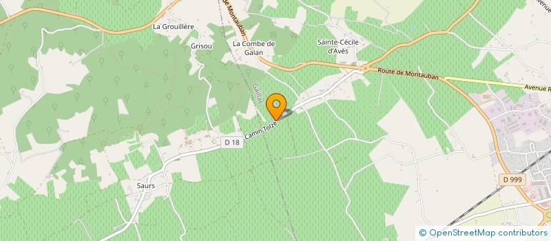 localisation de l'entreprise MADAME CHRISTINE RAYMOND  GAILLAC