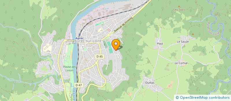 localisation de l'entreprise MADAME CHRISTINE REYNAUD  AUREC-SUR-LOIRE