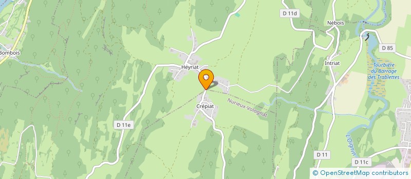 localisation de l'entreprise MADAME CHRISTINE RIBES  NURIEUX-VOLOGNAT