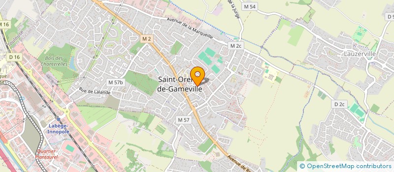 localisation de l'entreprise MADAME CHRISTINE RICHEUX-MAINGUY à SAINT-ORENS-DE-GAMEVILLE