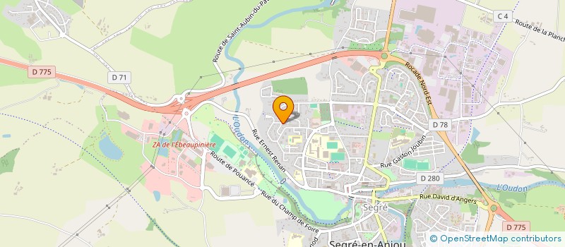 localisation de l'entreprise MADAME CHRISTINE RONNELLE  SEGRE-EN-ANJOU BLEU