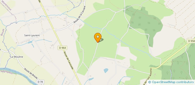 localisation de l'entreprise MADAME CHRISTINE ROULET  MONTRICOUX