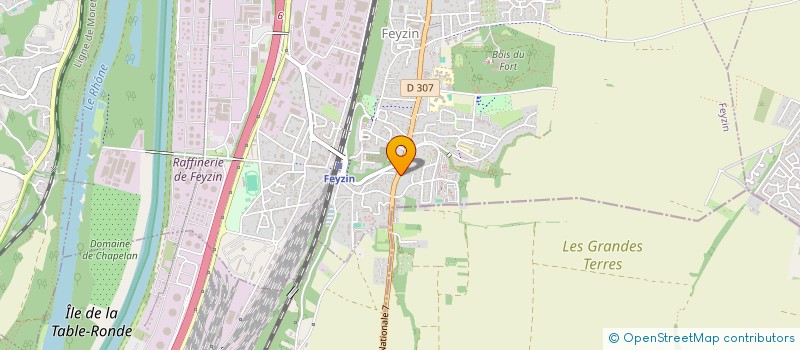 localisation de l'entreprise MADAME CHRISTINE RUIZ  FEYZIN