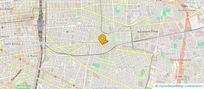 localisation de l'entreprise MADAME CHRISTINE SATIN  VILLEURBANNE