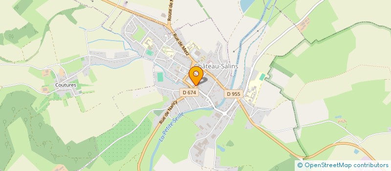 localisation de l'entreprise MADAME CHRISTINE SELLIER  CHATEAU-SALINS