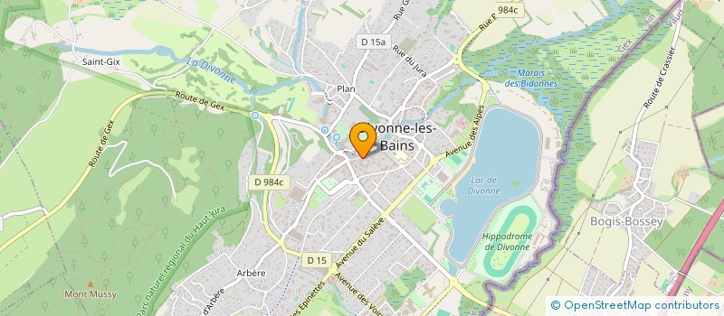 localisation de l'entreprise MADAME CHRISTINE SOMMET à DIVONNE-LES-BAINS
