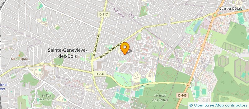 localisation de l'entreprise MADAME CHRISTINE TONDI  SAINTE-GENEVIEVE-DES-BOIS