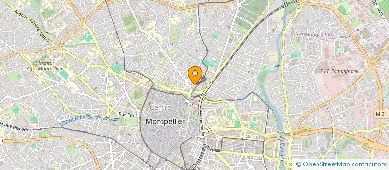 localisation de l'entreprise MADAME CHRISTINE TRIBOULET à MONTPELLIER