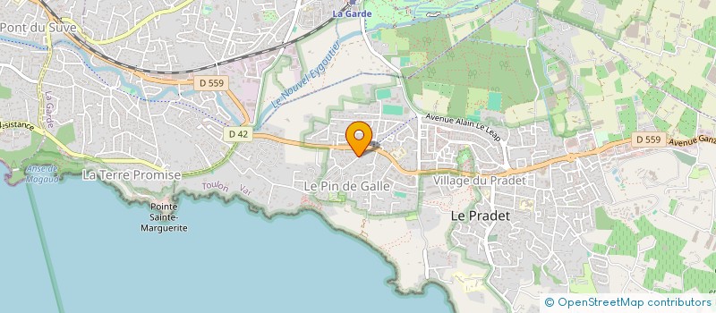 localisation de l'entreprise MADAME CHRISTINE VIALE à LE PRADET