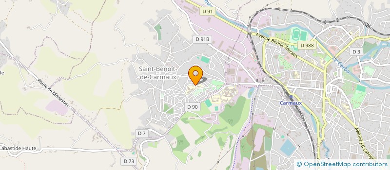 localisation de l'entreprise MADAME CHRISTINE VIDOVIC  SAINT-BENOIT-DE-CARMAUX