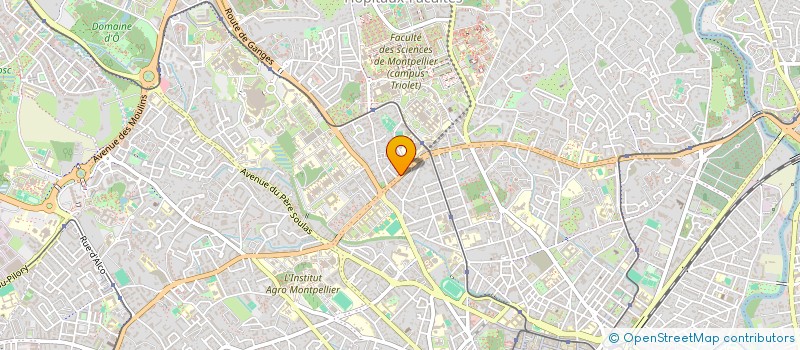 localisation de l'entreprise MADAME CHRISTINE VITAL à MONTPELLIER
