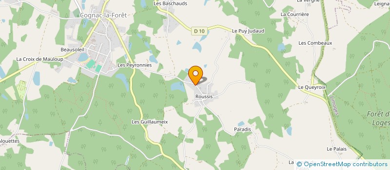 localisation de l'entreprise MADAME CHRISTINE YOUNG à COGNAC-LA-FORET